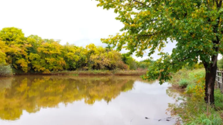 BEST HIKING TRAILS NEAR OKC_AllTrails.png