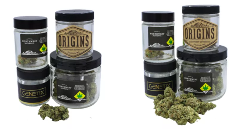 CANNABIS 101_A BEGINNER'S GUIDE_1.png