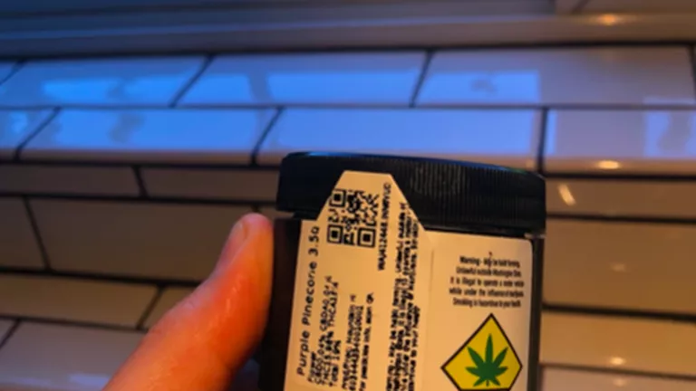 CANNABIS QUESTIONS_HOW TO READ A CANNABIS LAB TEST_Details of the Testing Process.png
