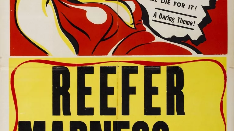 HEMP VS MARIJUANA_THE ULTIMATE BEGINNER'S GUIDE_HEMP AND MARIJUANA LEGALITY.png