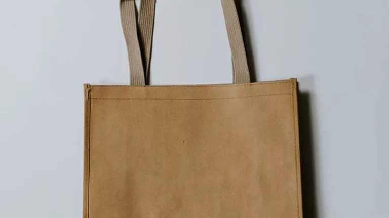 EARTH DAY_USE REUSABLE BAGS WHILE GROCERY SHOPPING.png