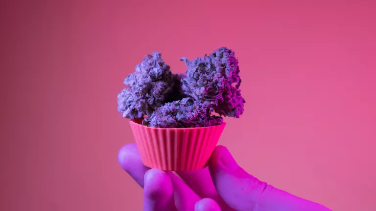 Low and Slow_Edible Dosing for Beginners_The old adage.png