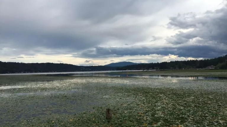 TOP 5 EASIEST BIKE TRAILS IN REDMOND WA_REDMOND CENTRAL CONNECTOR TRAIL.png