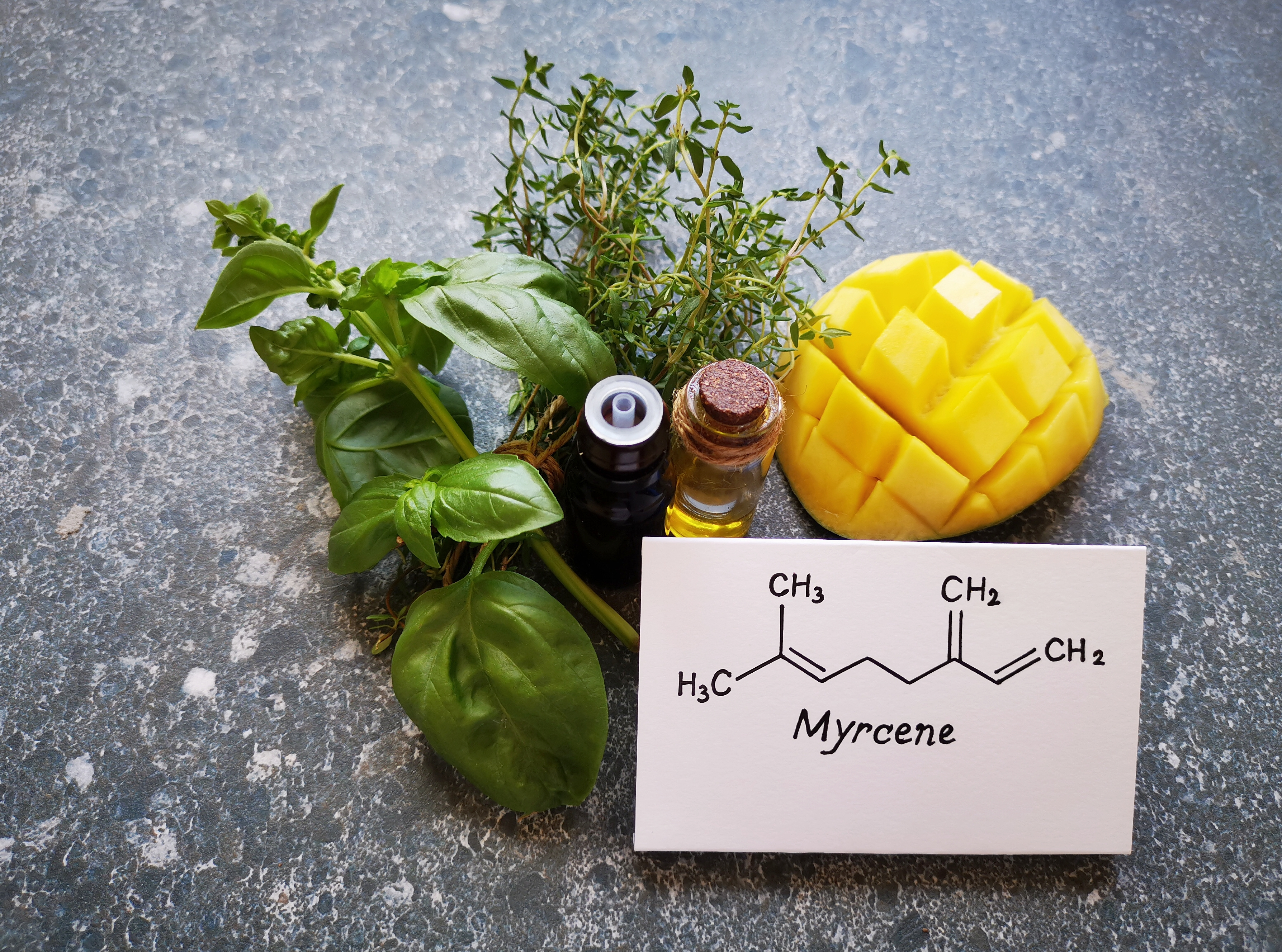 Terpene, myrcene herbs and mango