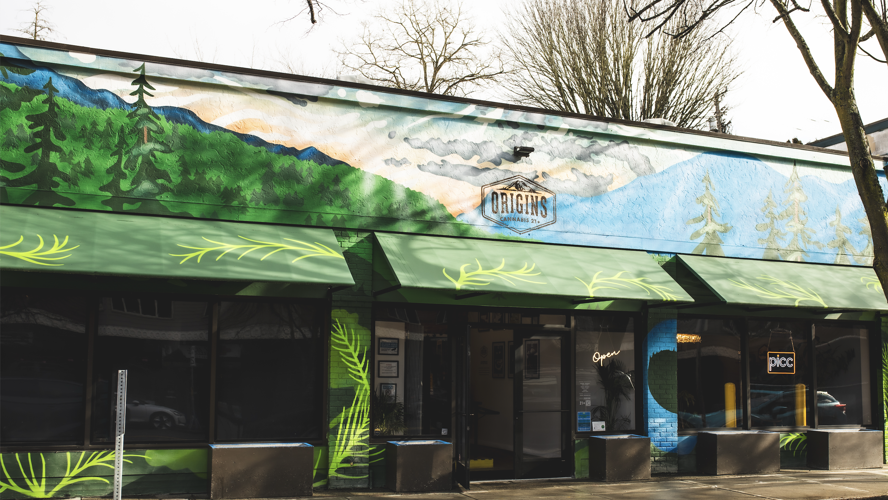 Origins Cannabis Seattle