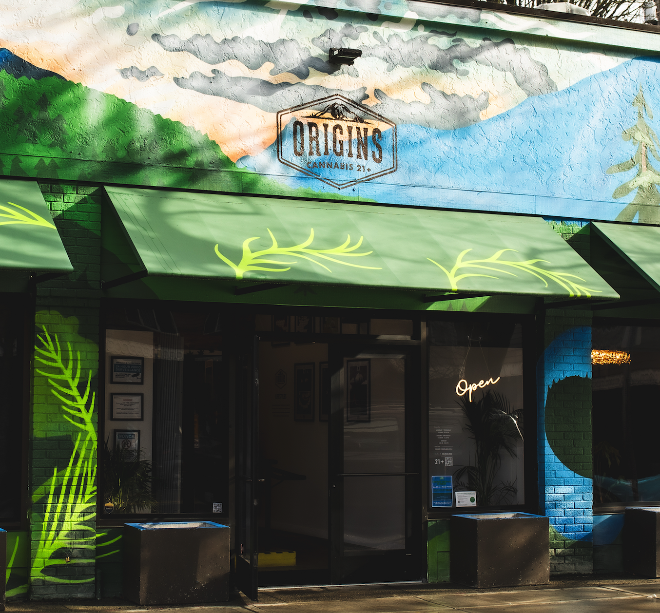 Origins Cannabis Seattle